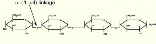 The chemical structure of amylose