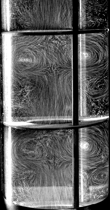 Photograph of flow patterns in an OFM baffled tube