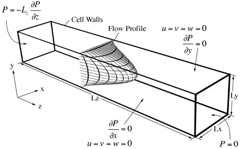 Boundary conditions employed in FE simulations of flow in a microfluidic device