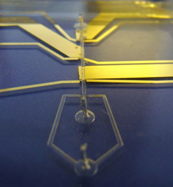 Image of microfluidic device 