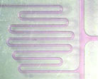 Image of a microfluidic device