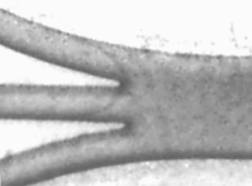 Image of a 3-inlet microelectrochemical reactor