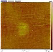 CNT AFM image of unetched sample