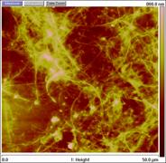 CNT AFM image of etched sample