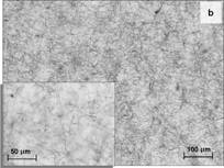 Morphology of CNTs in epoxy, 0.05%