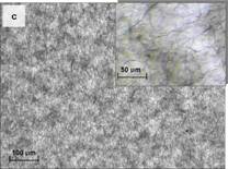 Morphology of CNTs in epoxy, 0.1%