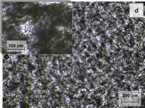 Morphology of CNTs in epoxy, 0.5%