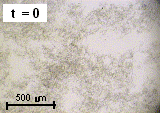 MHF formation, unsheared sample