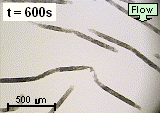 MHF formation, sample sheared for 600s