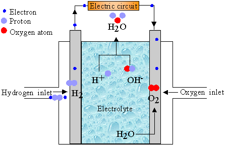 Schematic of a hydrogen fuel cell