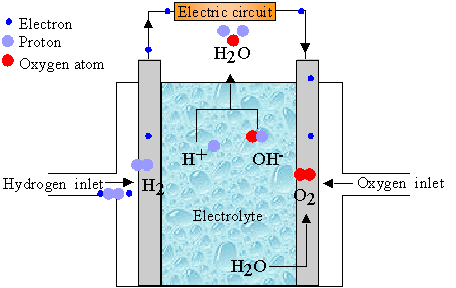 Schematic of a fuel cell