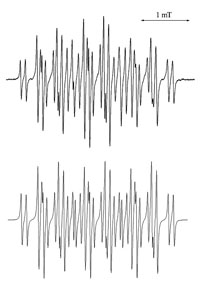 ESR signal of a m-iodobenzene radical anion 