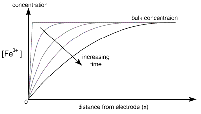 Evolution of concentration profile during a potential step experiment