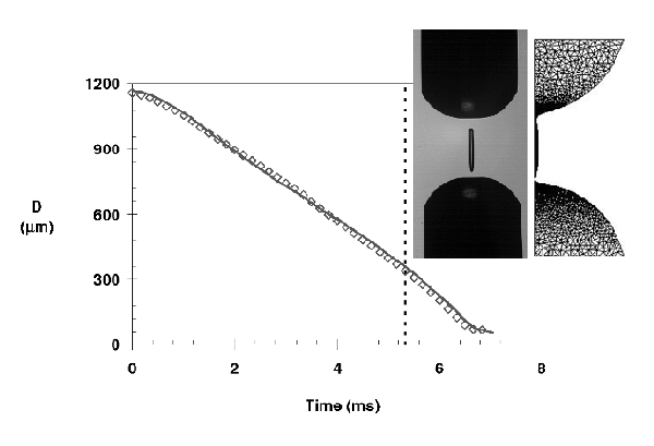 Comparision between experimental and simulated extensional behaviour