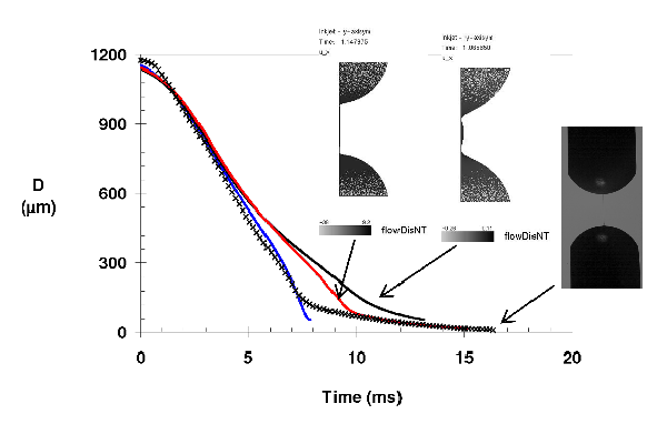 Evolution of polystyrene/DEP filament