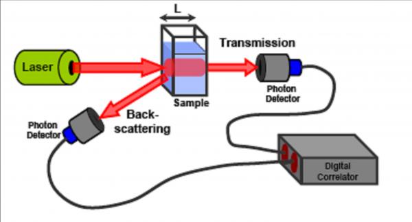 Schematic diagram of diffuse wave spectroscopy apparatus