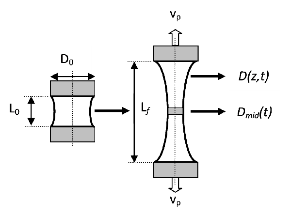 Schmatic diagram of capillary thinning