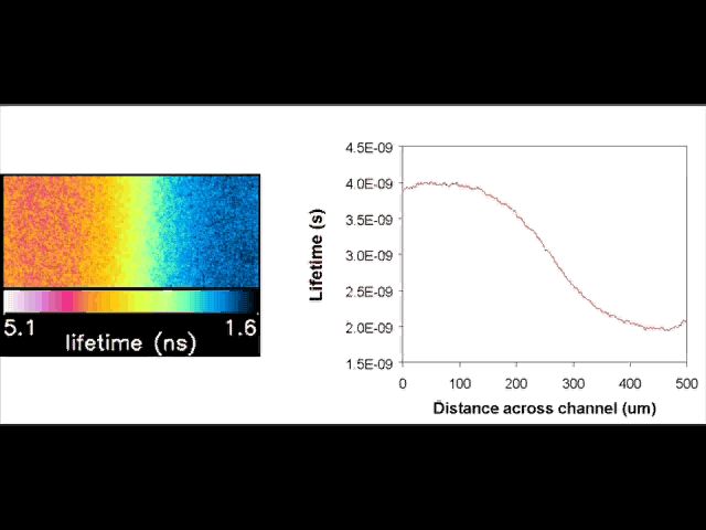 Fluorescent lifetime image and profile showing the diffusion of the iodide ion