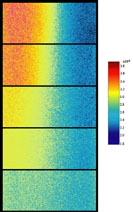 FLIM images of diffusive mixing of the iodide ion at increasing distances downstream 