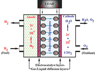 Schematic illustration of a fuel cell