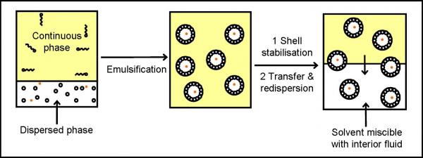 Colloidosome formation