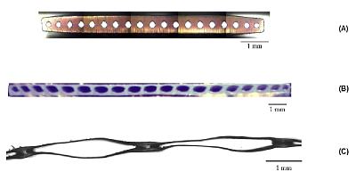 Cross-sections of different micro capillary films