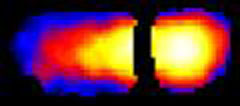 MRI velocity image of immiscible liquid flow