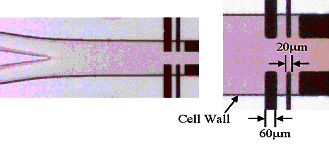 Image of electrodes used in multiphase studies