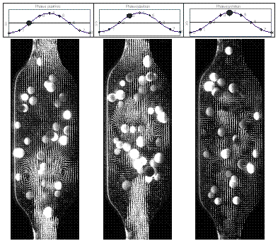 PIV vestor map of particles within a mesoreactor tube