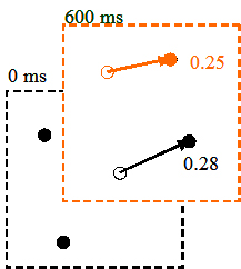 Diagram of cross-correlation of PIV particles