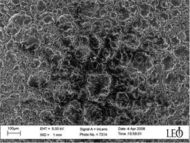 SEM image of porous polypyrrole structure