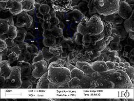 SEM image of porous polypyrrole structure