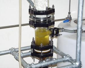 Biodiesel product