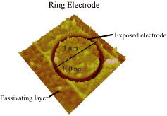 Nano Ring Electrode