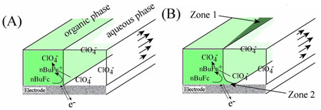 Schematic illustration of reactions occurring at the triple phase boundary