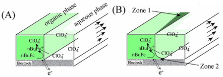 Schematic illustration of reactions occurring at the triple phase boundary