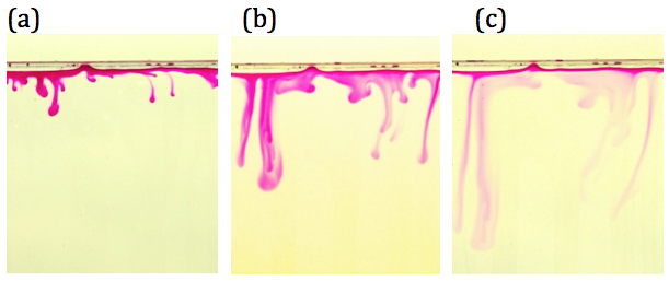 Figure 1. Sequence of photographs showing the evolution of the pink diffusive boundary layer formed by the reaction of phenolphthalein in MIBK (top layer) with aqueous sodium hydroxide (bottom layer) in a Hele-Shaw cell.  The phenolphthalein mimics carbon