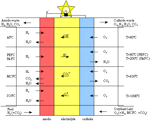 Types of Fuel Cells Department of Chemical Engineering and
