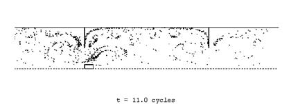 Tracer pattern from OFM simulation