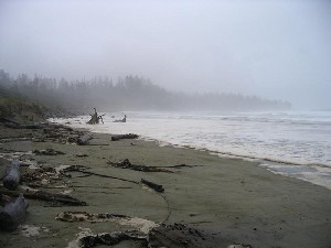 Long Beach on the west coast of Vancouver Island