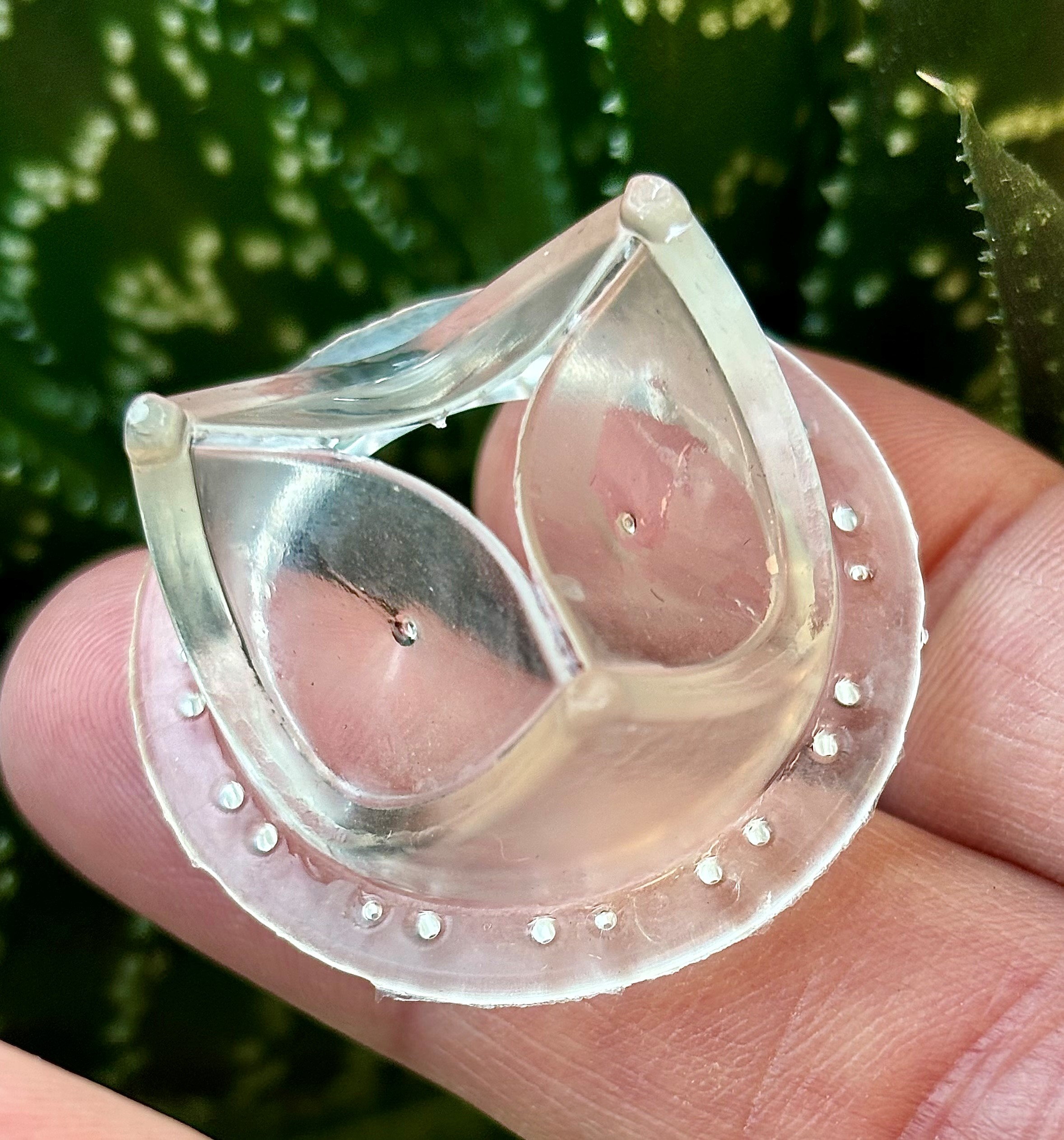 An artificial heart valve resting on top of a person's fingers. Foliage in the background.