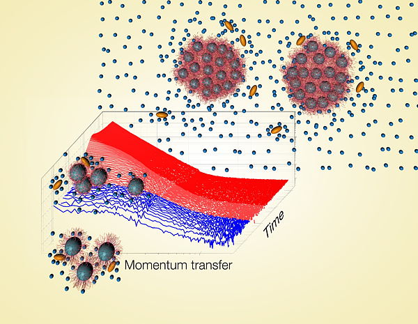 Figure 1 caption: Adding a co-solvent (e.g. an alcohol) to an aqueous solution of thermoresponsive polymers promotes their aggregation. The growth rate is related to the interaction potential between the aggregates which changes due to the alteration of t