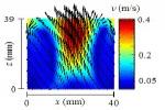Fig. 4: Particle velocity profile