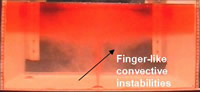 The environment surrounding the plume is unstable, leading to the formation of finger-like convective instabilities with high concentration of particles.