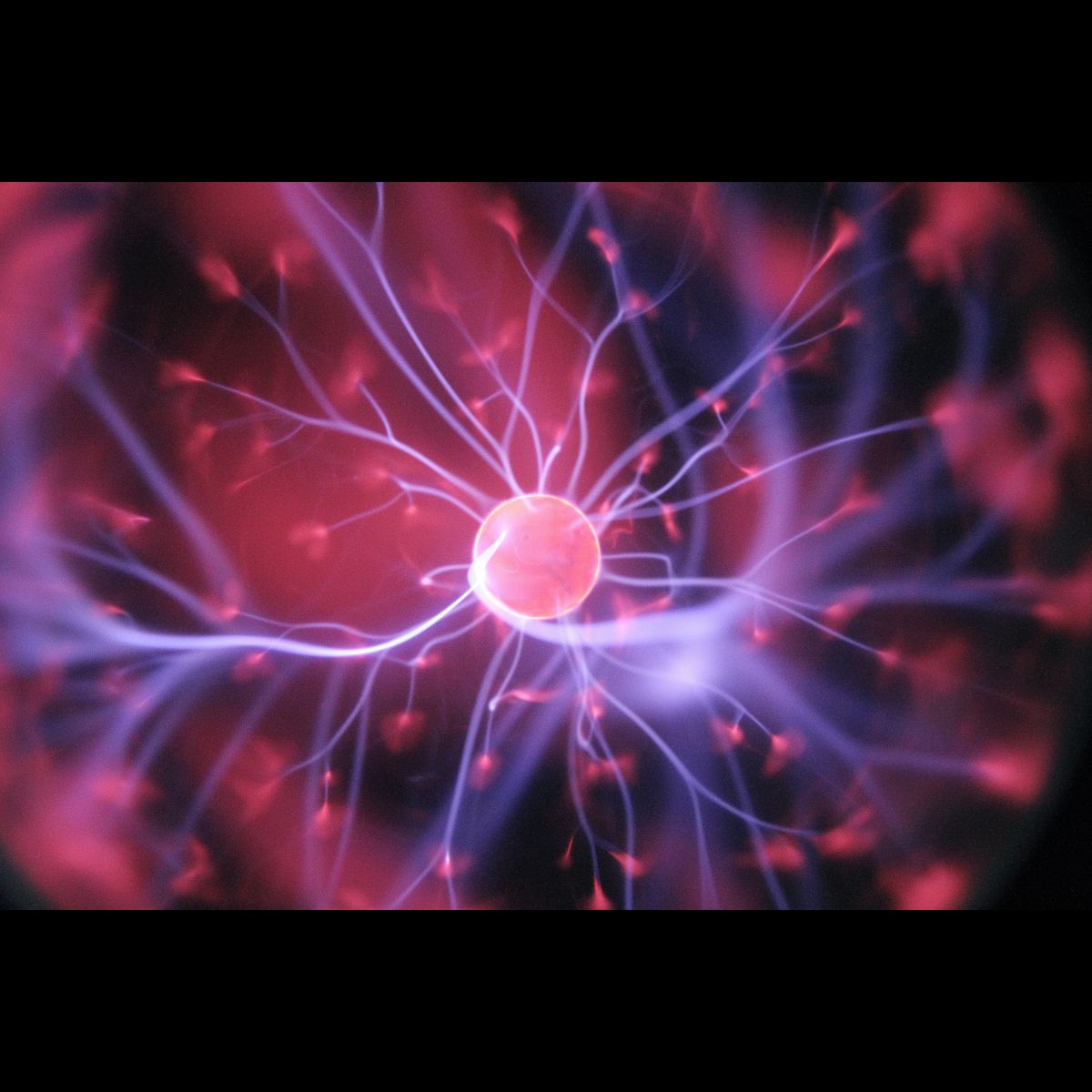 New tool to accelerate Alzheimer&amp;#39;s research and drug discovery