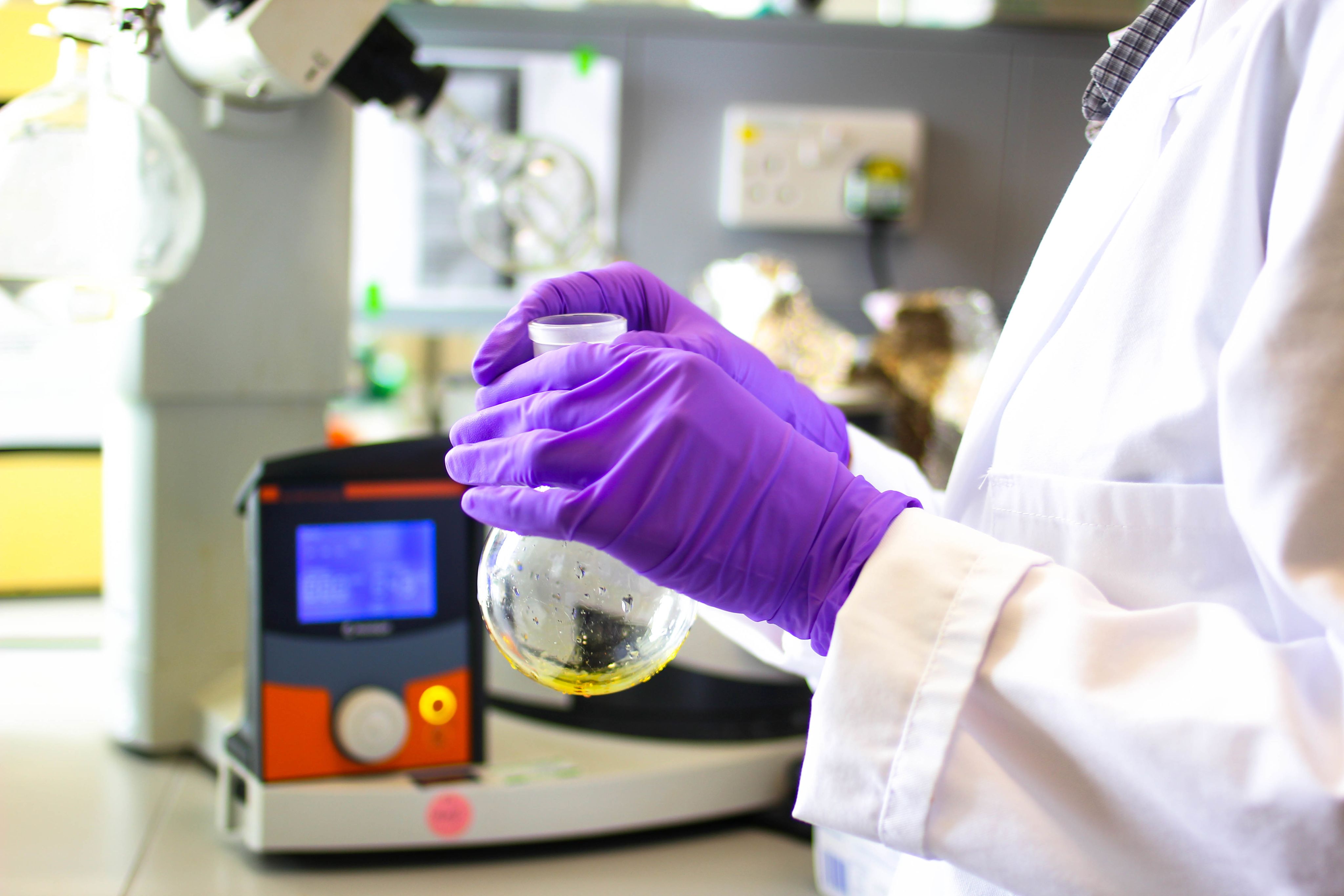 Purple gloved hands of person in white lab coat holding test tube with yellow liquid in bottom.