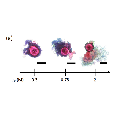 A chemical garden that’s also a chemical clock 