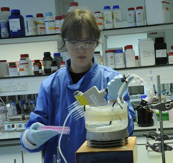 Biopharma alliance forged by MedImmune and CEB