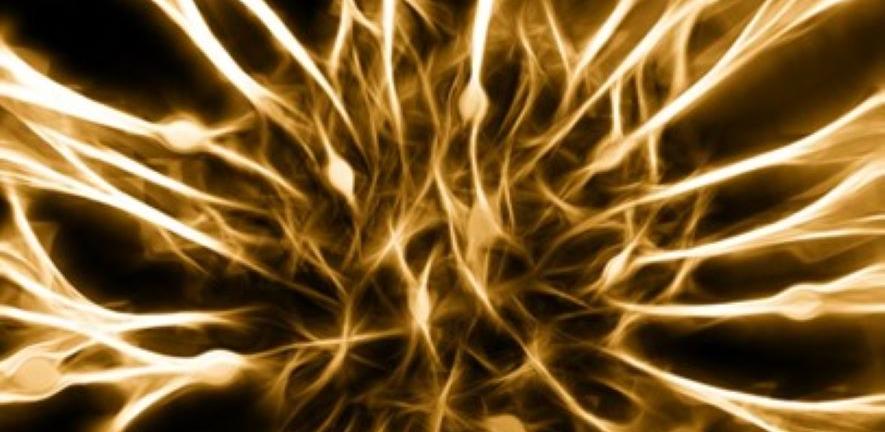 A representation of nerve cells connected in a network