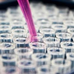 purple pipette filling small vials